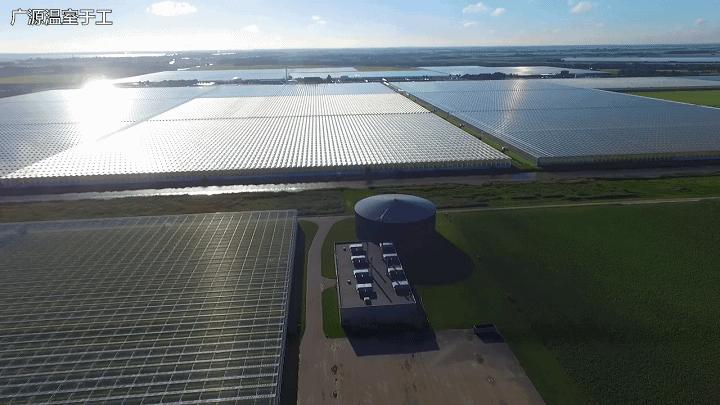 荷兰温室多少钱一平米,为什么玻璃温室荷兰都在用