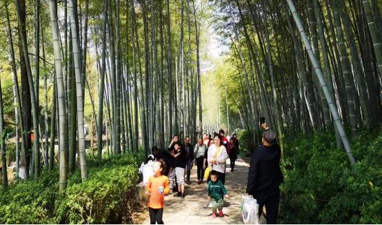 不负假期不负青春,不负韶光享受春日