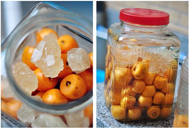自制各种水果酒正确方法,自制水果酒的做法大全