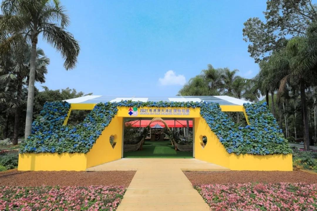 这个花展上的新优品种，为什么这么美？