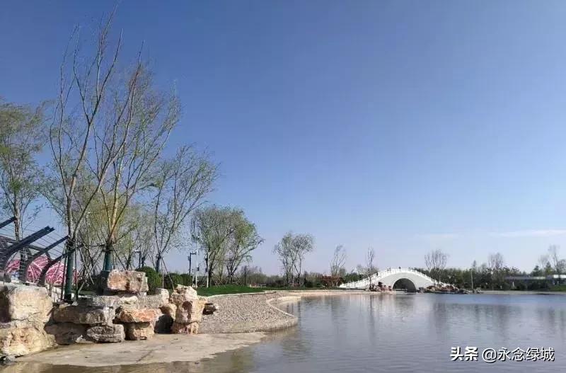 南阳世界月季大观园开幕邀请,南阳月季大观园门票现在免费政策