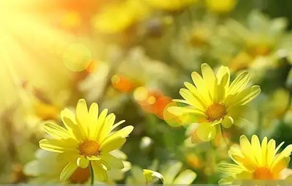 办理天然气开户不在本地怎么办,燃气更改户号之前交的费怎么办