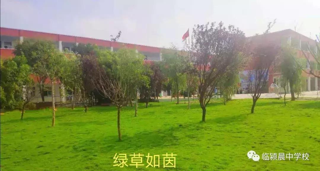 临颍第一所公立寄宿制学校,临颍县城中小学