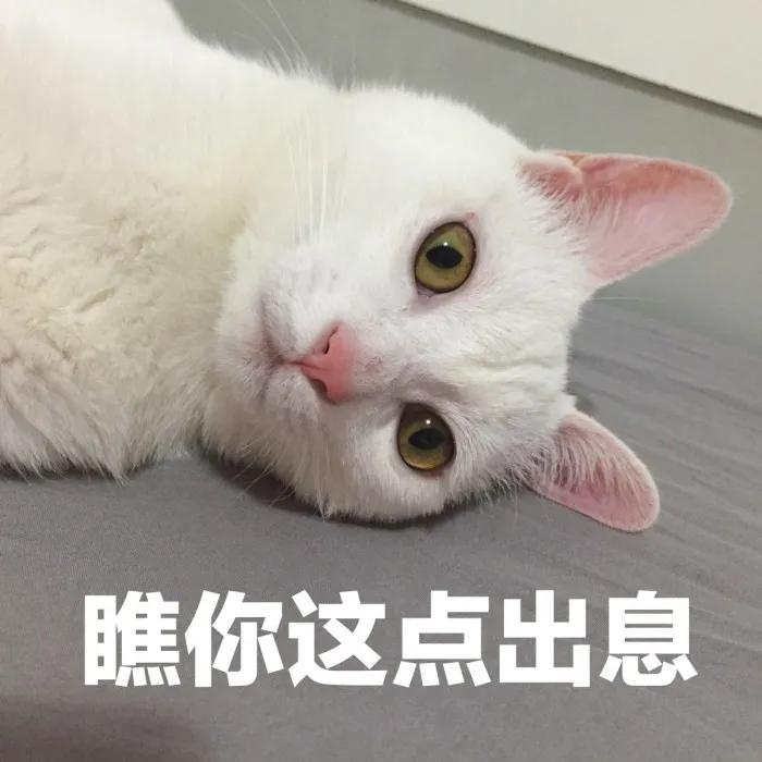 南京警方打击假火车票案,2019南京特大制假案