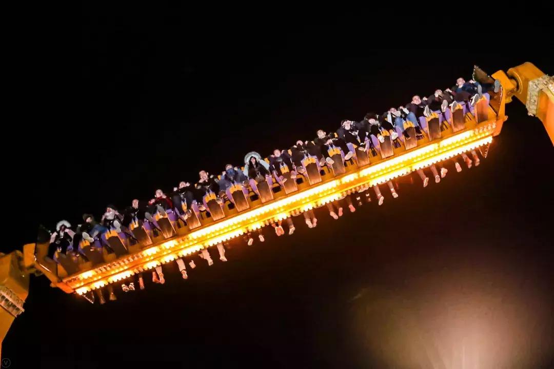 上海长风海洋世界五一,99元即可畅玩上海海昌海洋公园