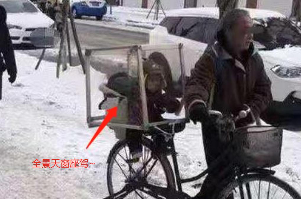 有种爷爷叫“别人家的”,树干、床垫做豪车,更有跑车“大黄蜂”