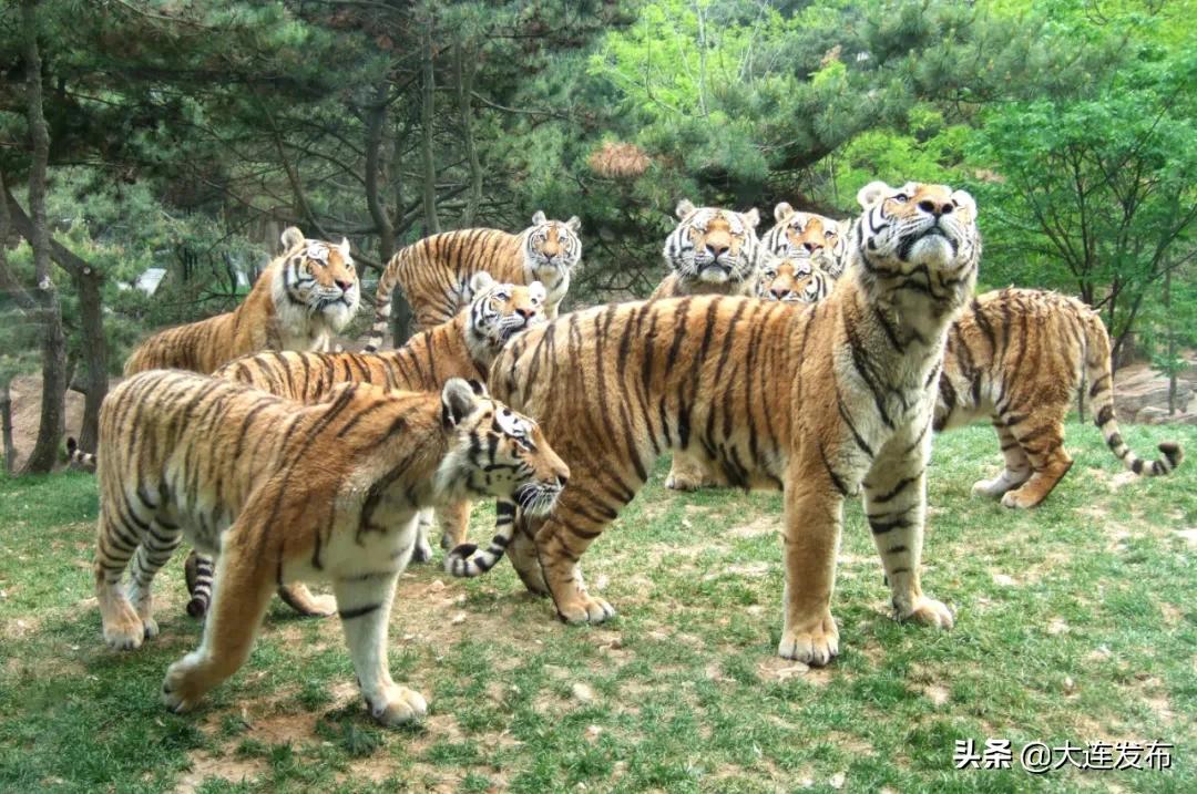 中国体育旅游十大景区,体育旅游十大必去景区