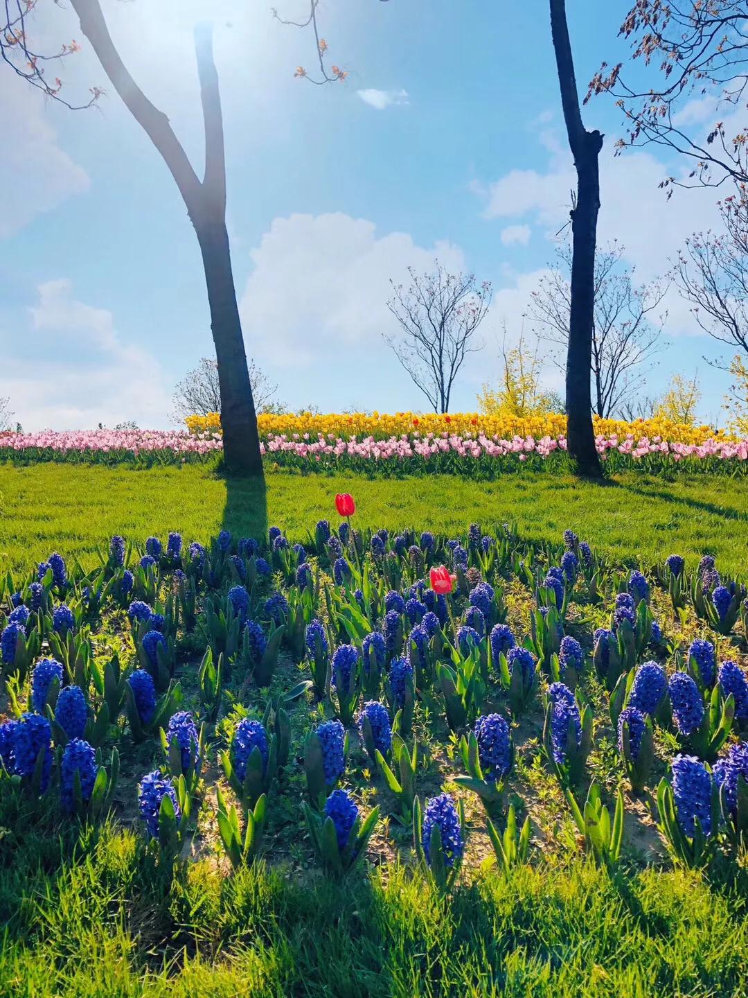 水浒传测试题小程序,水浒传2040测试题