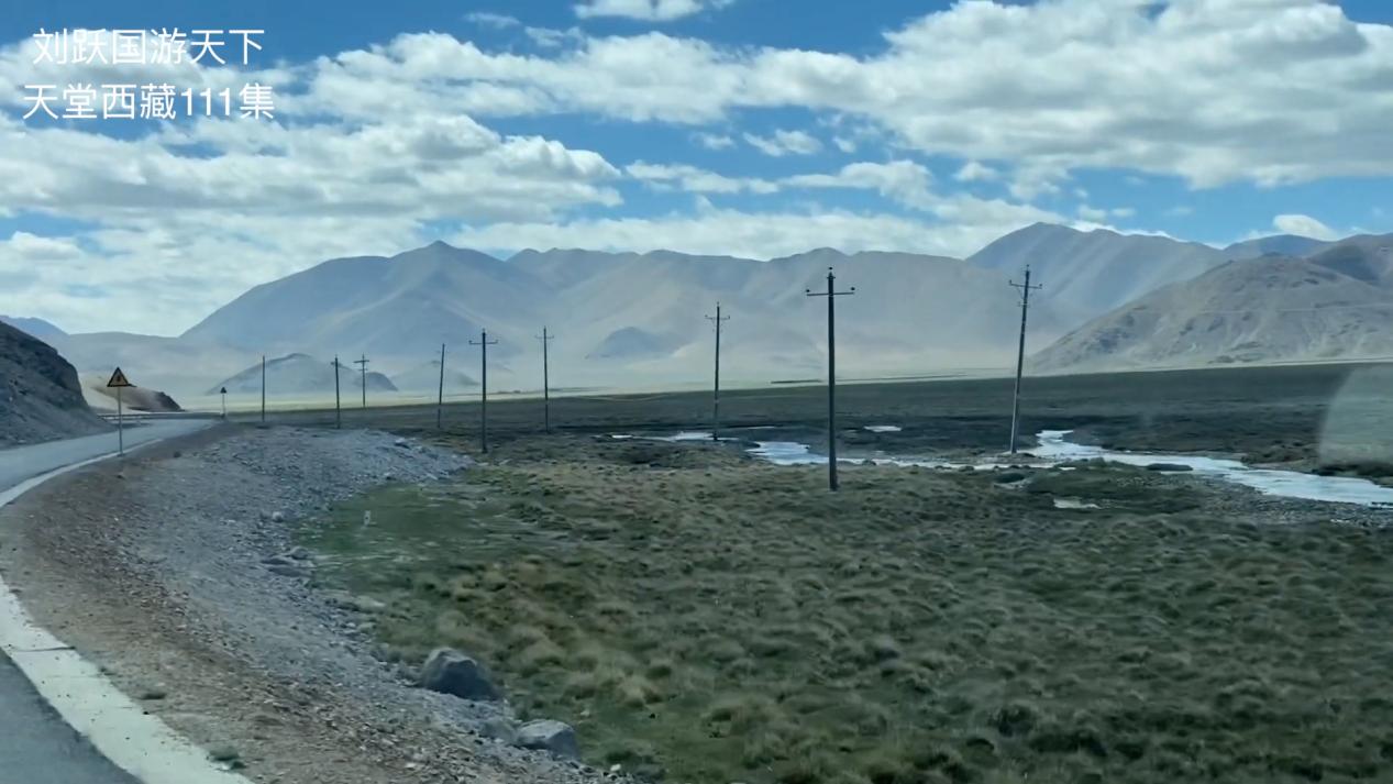 天堂*藏西**-好吃的草成了扶贫开发的头号工程，牛羊就快乐起来啦