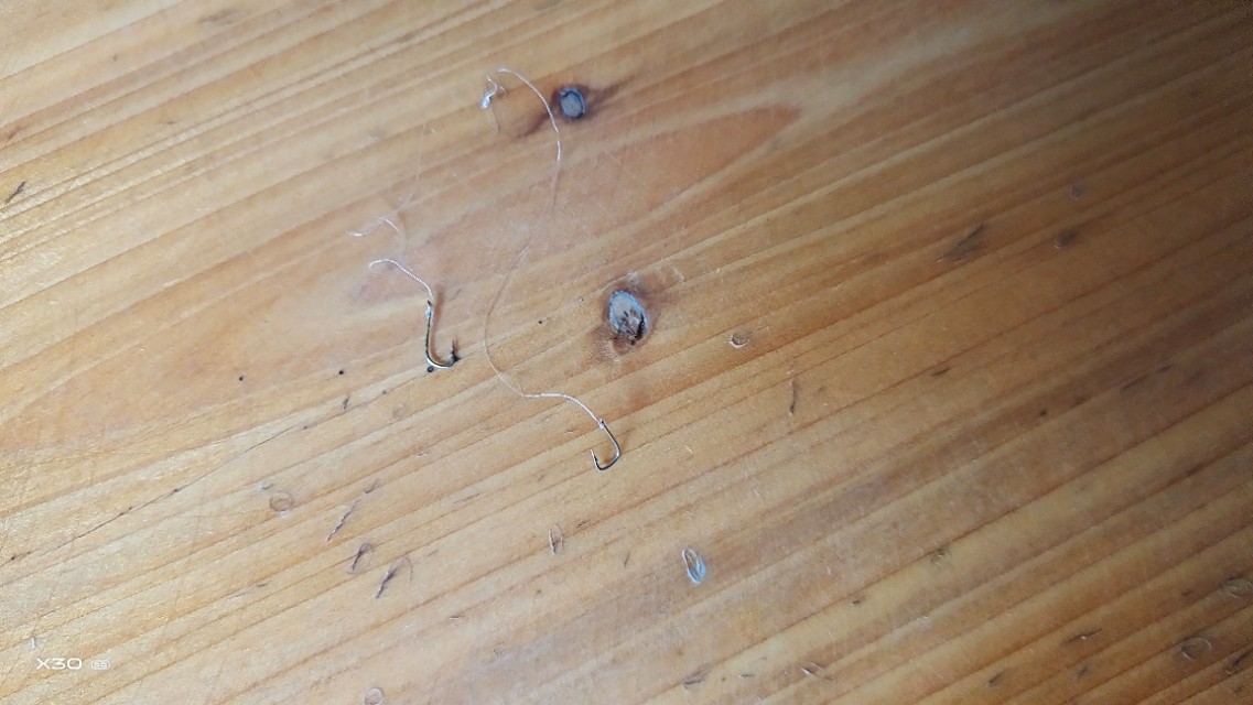 如何钓浮在水面上的鱼,岸钓鲷鱼技巧