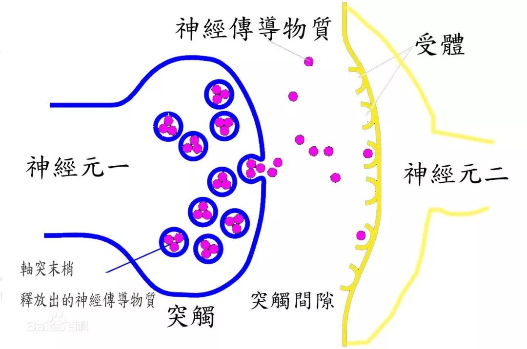 英特尔全新芯片赋能ai训练性能,英特尔发布神经形态芯片超算