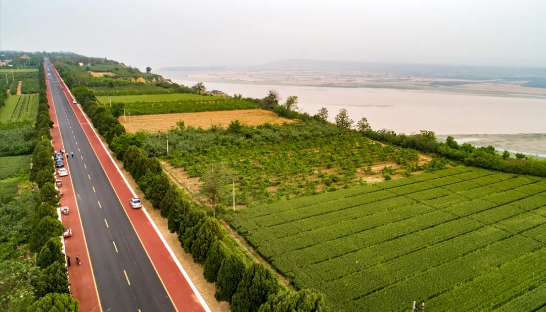 芮城大小事情,芮城现象