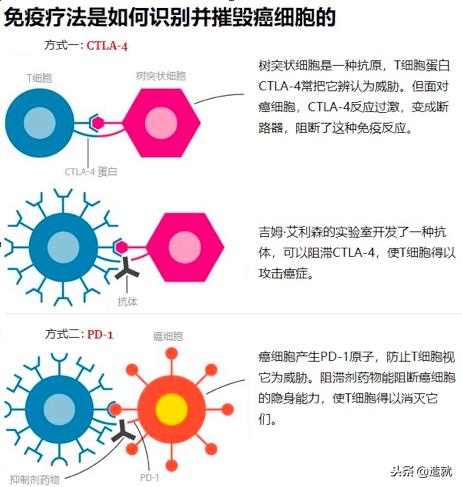 美国科学家癌症治疗,美国治疗癌症的药成功吗