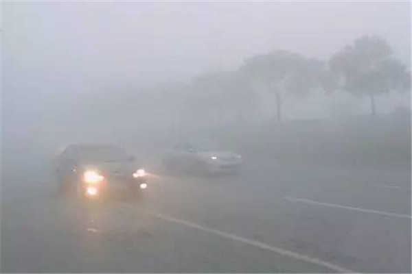 油箱居然是用“塑料”做的？这些冷知识，知道的人少之又少