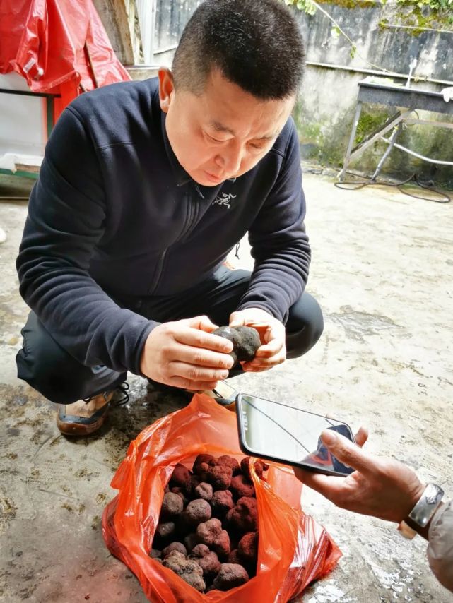 白松黑露，在丽江「上演旷世传奇」