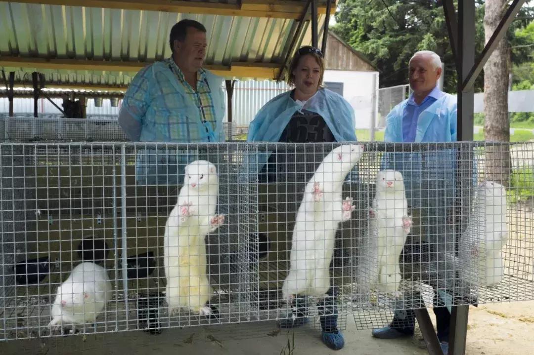 东北绝地求生战队,绝地求生鹤城
