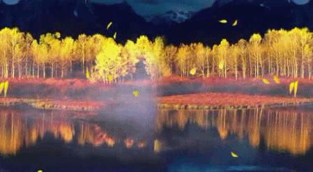 十首最美秋夜诗词,十首绝美夏天诗词大全