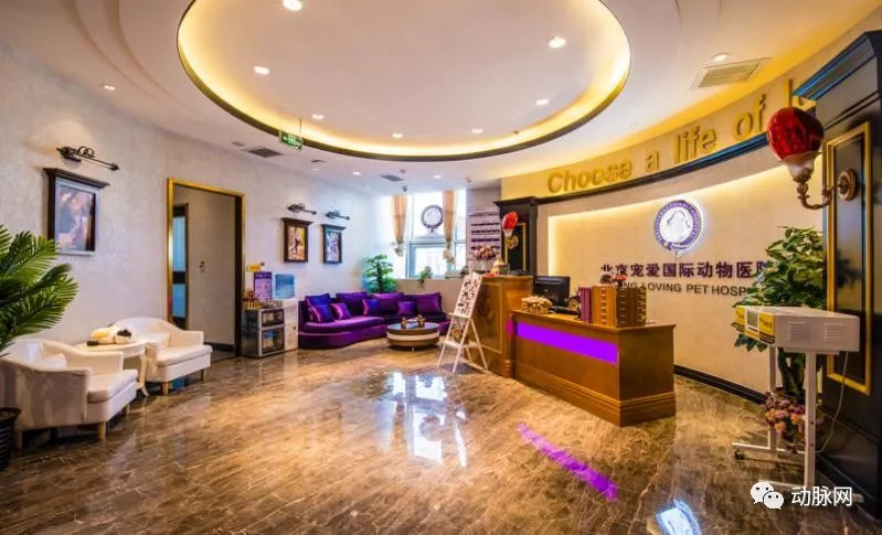 新瑞鹏深度分析,新瑞鹏和佳雯