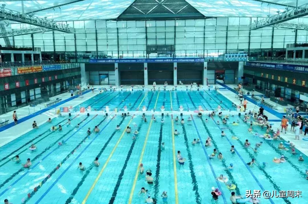 深圳游泳教练培训学校有哪些,深圳成人游泳培训班哪里好