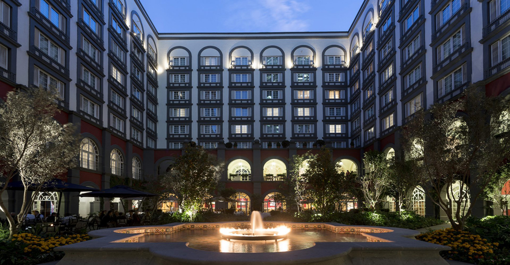 EATWILDLYINMEXICOCITY墨西哥城：食在野（二）