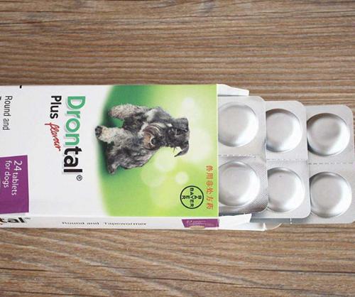 二个月小鹿犬到新家拉肚子,三个月小鹿狗拉血