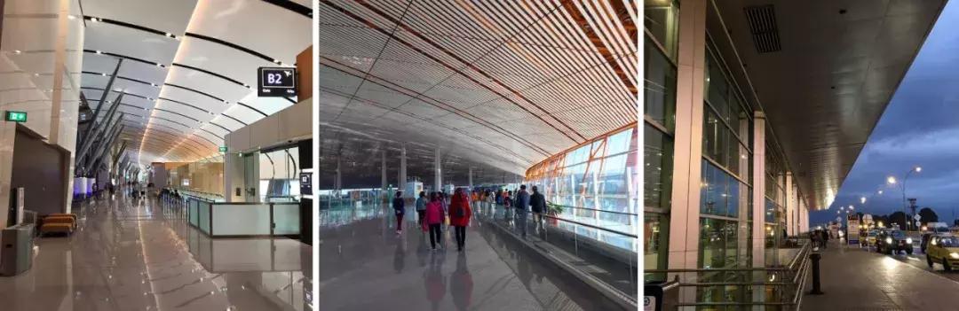 中国的审美变了吗 (国人的病态审美)