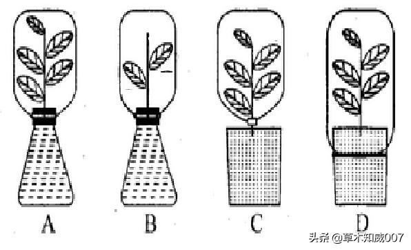 义务教育科学四年级期中测试卷,苏教三年级科学下册质量检测试题