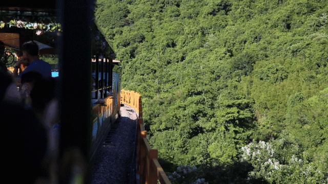 儿童游东部华侨城,东部华侨城旅游度假