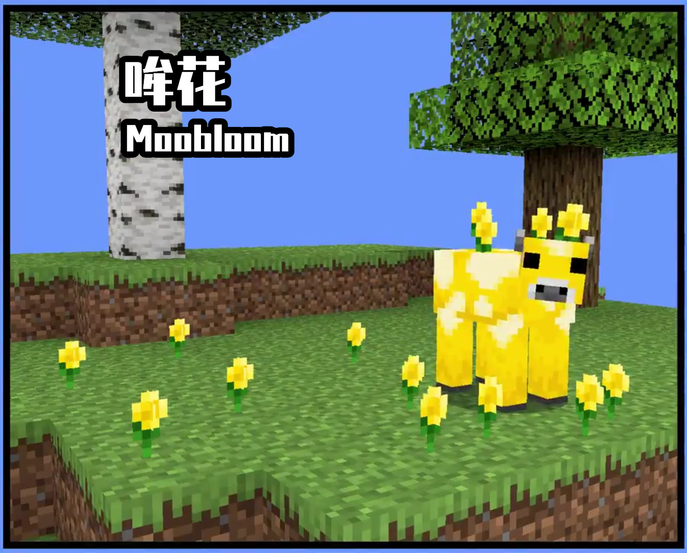 我的世界mc神秘大事件,我的世界怎么获得骷髅狼