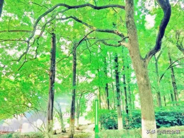 金寨是美丽的、有历史文化的，但这样的金寨你绝对没看过