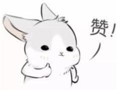 幼升小择校指南,幼升小择校怎样选