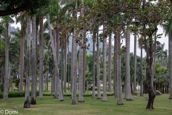 珠海打卡旅游景点攻略图,两天玩转珠海饱览自然人文风光