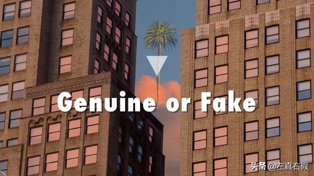 男友香？侍寝香？！宝格丽也不是故意想搞事情