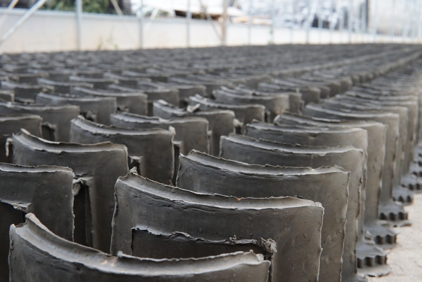 濂夊寲闈為仐浼犱汉鍚嶅崟,濂夊寲闈為仐