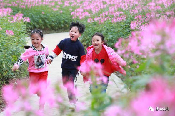 【慢游新天府，感受新成都】端午节特辑（二）|世界冠军蒋文文、蒋婷婷带你去逛川西林盘和特色小镇打卡地