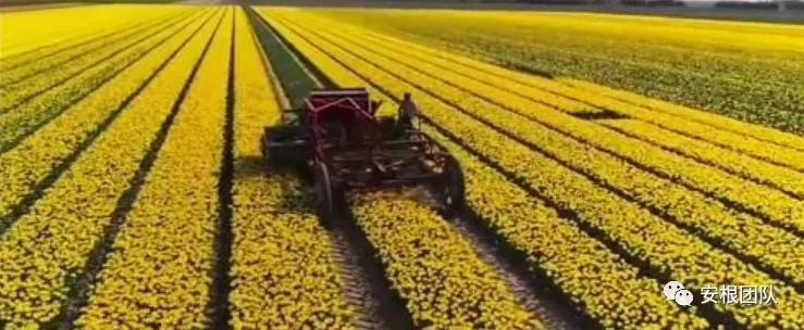 茶人学习:欧洲国家农民合作社融资实践