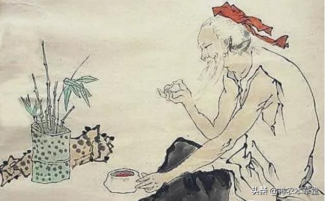 道祖葛洪,十世祖葛洪