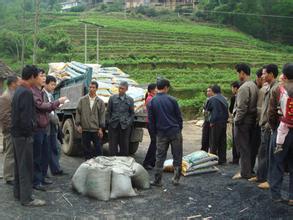 农村创业点子相关推荐,农村创业点子农村最缺什么生意