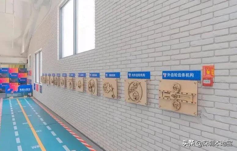 深圳适合亲子游的最佳地方,深圳亲子游下雨最佳去处