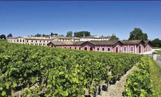 拉菲集团ip,拉菲集团是做什么的