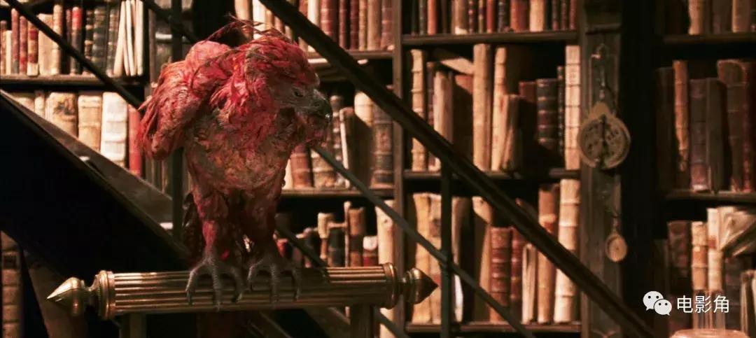 神奇动物2深度解析,彩蛋和bug有什么区别