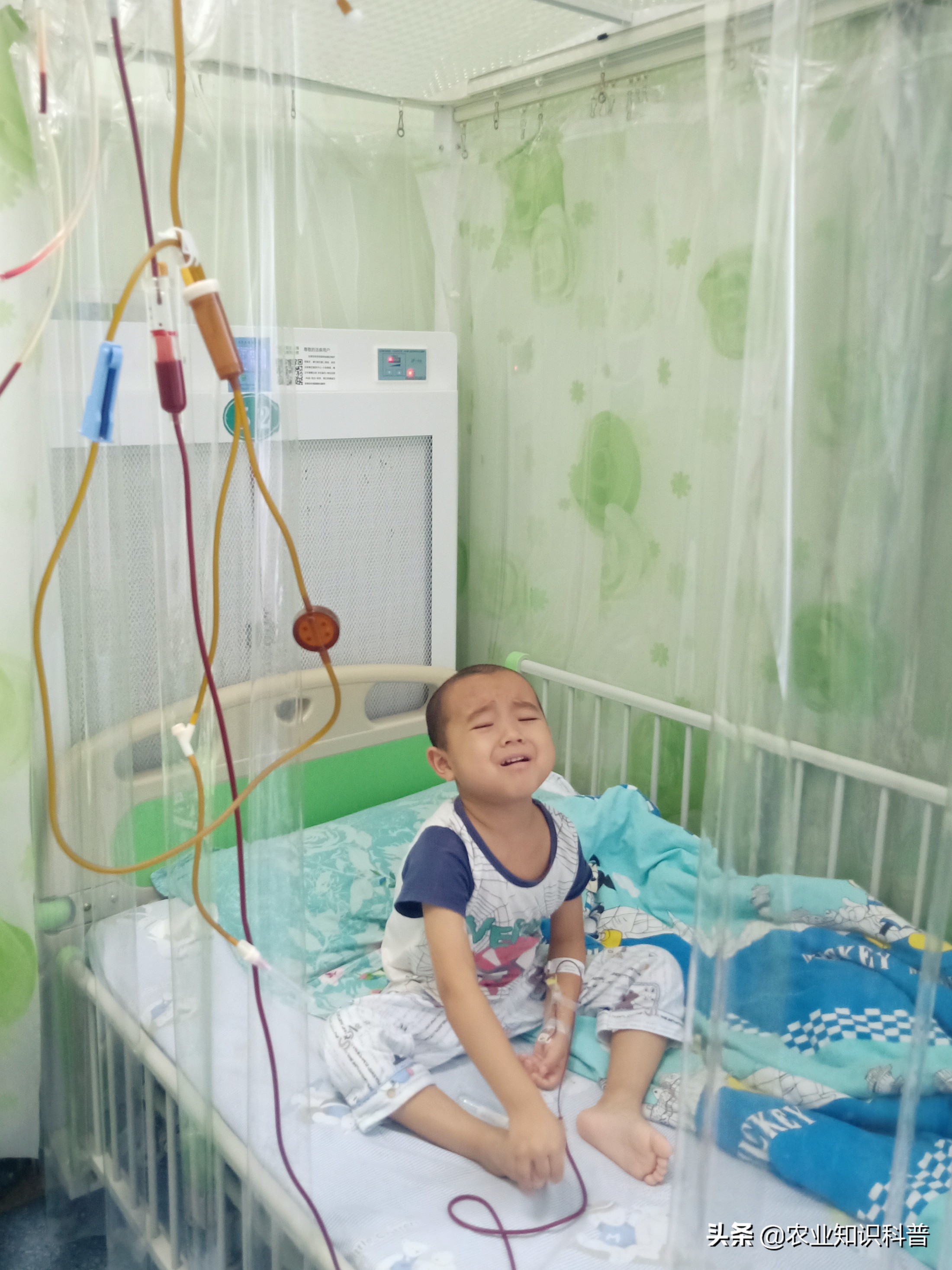 5岁男宝反复发烧39度隔十天又烧,5岁男童反复高烧39.3度怎么办