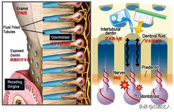 补过的牙几年后突然又疼了怎么治,补了几年的牙突然疼痛要如何解决
