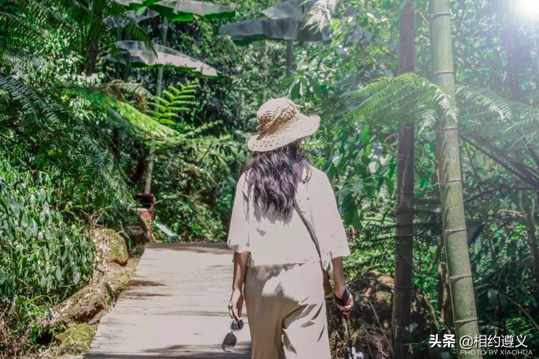 赤水大瀑布 侏罗纪公园 (世界唯一保留的侏罗纪原始公园)