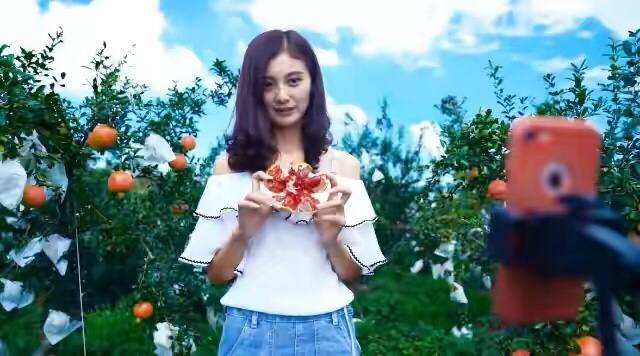 四川女孩辞职回家创业,四川女子大厂辞职卖水果