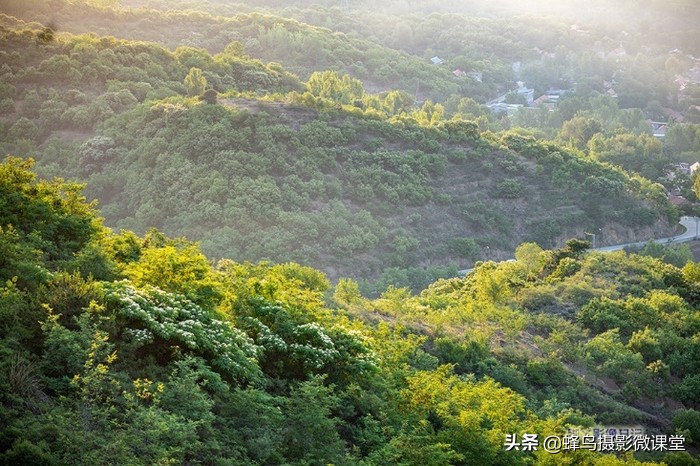 松下s1r与索尼a7r4买哪个好,松下微单s1r详细介绍