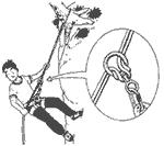 改进绳结最佳方法,绳结的正确固定方法