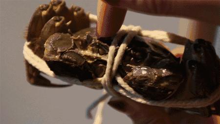 螃蟹买回来吃不完怎么存放,买回来的螃蟹暂时不想吃怎样保鲜