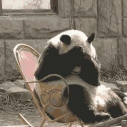 搞笑gif你以为我会乖乖地转圈吗,打着伞跳舞搞笑视频