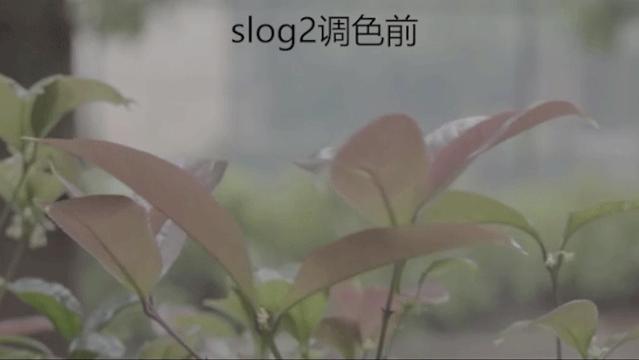 为什么你拍出来的视频不好看,为什么拍的视频不够清晰